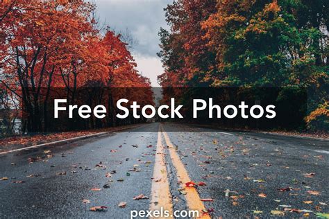 Free No Copyright Videos, Download The BEST Free 4k Stock。